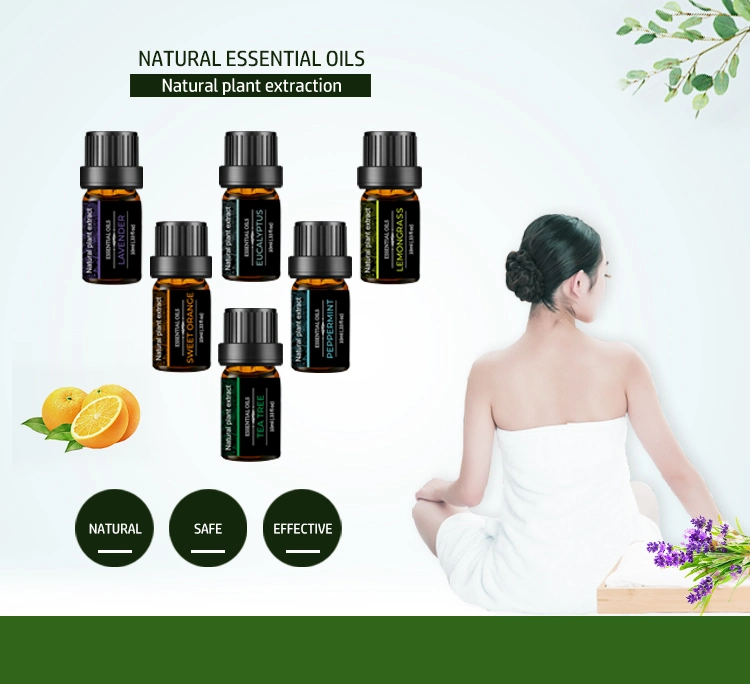 Private Label Wholesale 100% Natural Plant Aromatherapy Essential Oil Pack