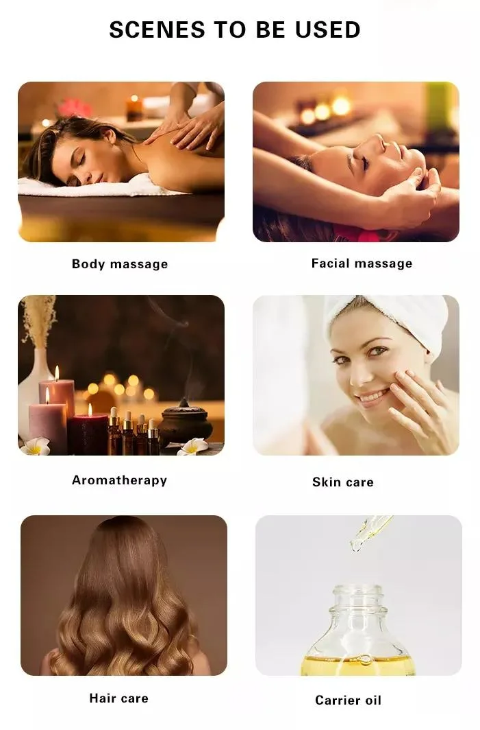 Cosmetics Essential Oil for Skin Natural Organic Massage Essential Oils