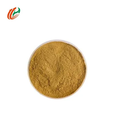 Natural High-Quality Spice Powder Nutmeg