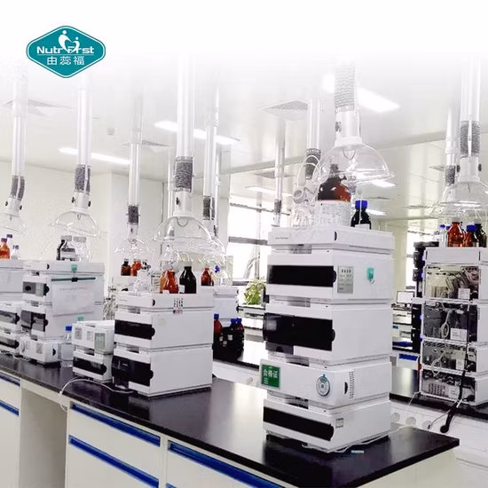 Grape Seed Extract 95% OPC (100% Natural) Plant Herbal Extract Powder Vitis Vinifera Food Additive Antioxidant Proanthocyanidins