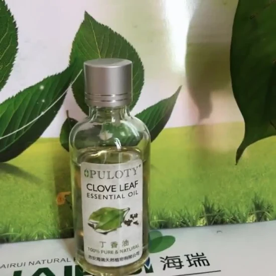 100% Pure Clove Oil Price Clove Essential Oil Aromatherapy Clove Leaf Oil