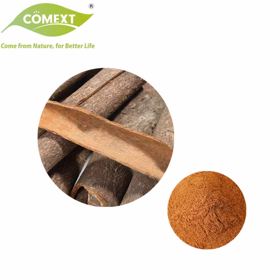 Spray Drying Cinnamon Powder Natural Herbal Plant Extract