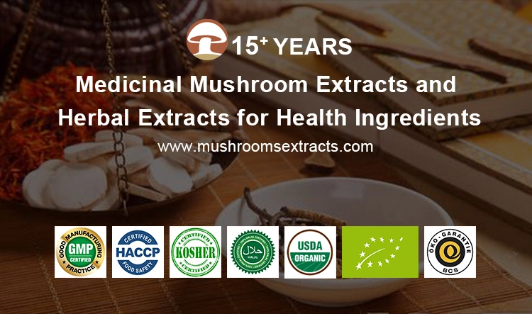 Organic Lion&prime; S Mane Mushroom Plant Extract Reishi Mushroom Ganoderma Lucidum Shiitake Cordyceps Mushroom Herbal Powder