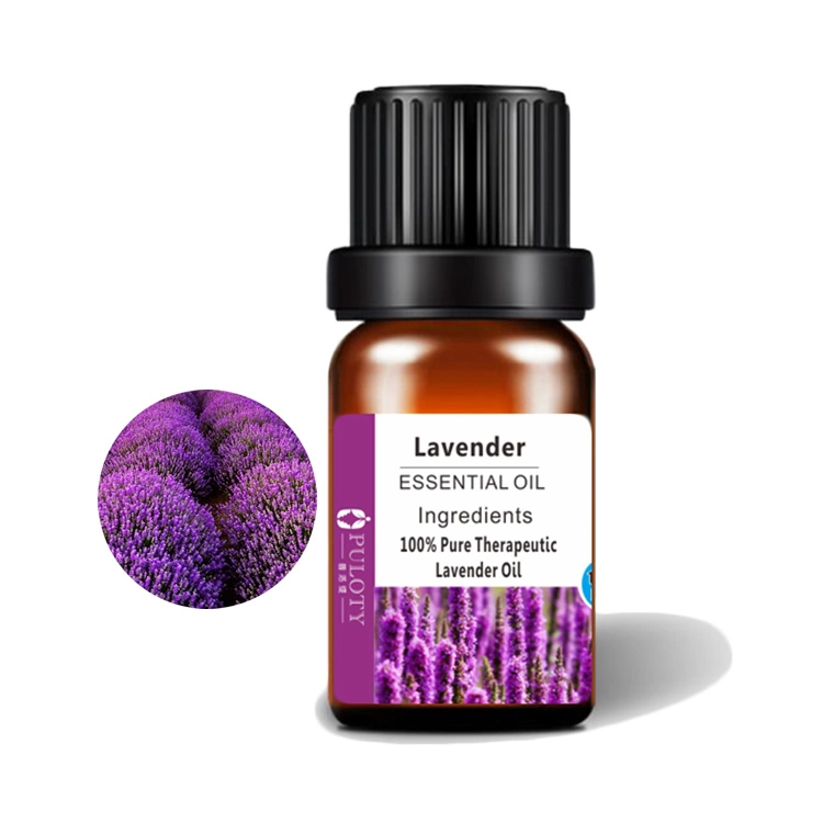 Lavender Oil Pure Natural Plant Extract Essential Oil for Cosmetics Whole Sale in 2021