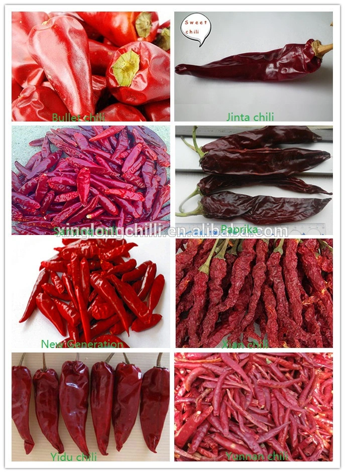 Seasoning Spice Powder Distributor Red Chilli Powder Price 1 Kg