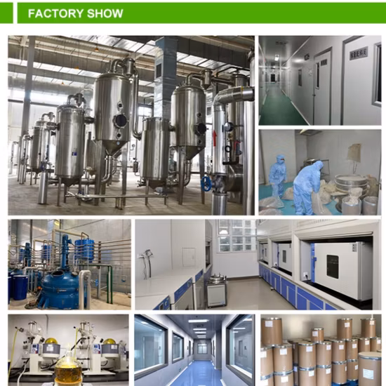 High-Standard Plant Extracts, Herbal Health Food, Ganoderma Lucidum Extract, Reishi Extract Powder