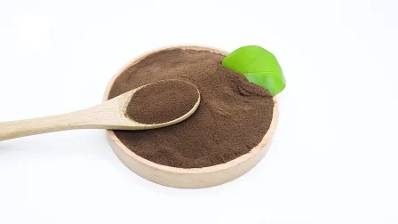Organic Ganoderma Lucidum Mushroom Plant Extract Reishi Mushroom Herbal Powder Reishi Extract for Health Supplement
