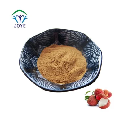 Factory Supply Fruit Powder Litchi Chinensis Powder for Drinking