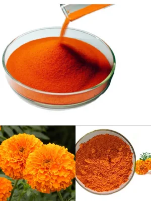 Supply Natural Plant Extract Water Soluble Marigold Extract Powder CAS 127-40-2 Xanthophyll Powder