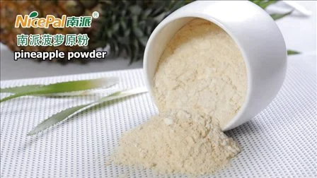 Natural Spray Dried Papaya Powder / Papaya Vegetable Powder