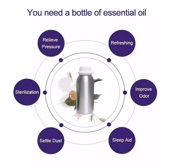 Hl- Highly Concentrated Essential Oils Manufacturer, Wholesale Parfum Fragrance Oil for Perfume Branded Making Cosmetic Grade