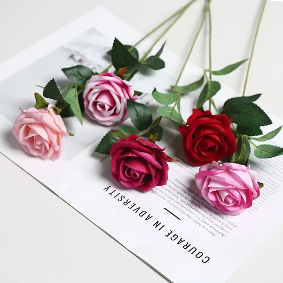 High Quality Good Price Cosmetic Grade Aromatherapy Grade Pure Natural Rosehip Carrier Oil Rose Hip Oil