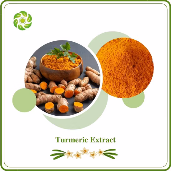 Factory Supply Wholesale Natural Antioxidant Plant Extract Curcumin Powder