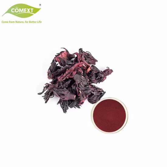 Hibiscus Roselle Cosmetics Food Additive Skin Care Plant Extract Powder