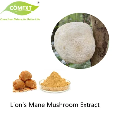 Comext Best Price Hericium Erinaceus Mushroom Plant Extract Lion′ S Mane Extract Mushroom Herbal Powder with Water Soluble for Immunity